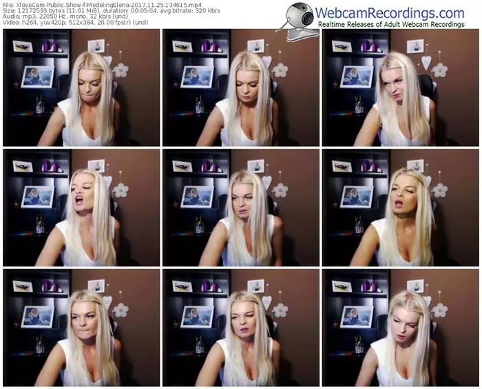 xlovecam-modelingelena-webcam-show-11_25_2017-13_46_15