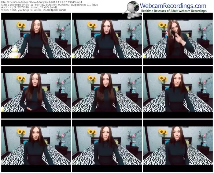 xlovecam-puresoul-webcam-show-11_26_2017-17_36_43