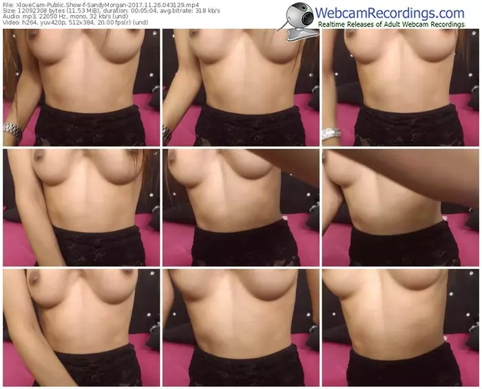 xlovecam-sandymorgan-webcam-show-11_26_2017-04_31_29