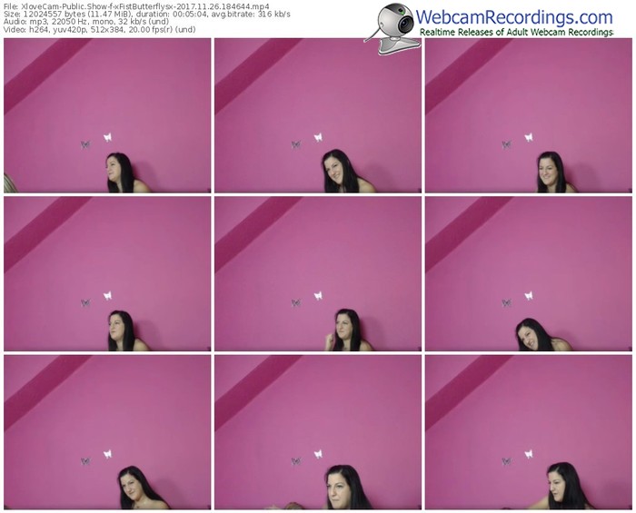 xlovecam-xfistbutterflysx-webcam-show-11_26_2017-18_46_44