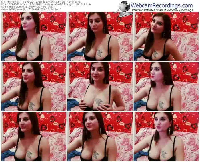 xlovecam-annatapuce-webcam-show-11_28_2017-16_43_00