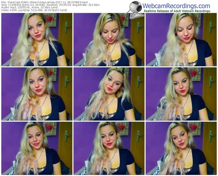 xlovecam-greylarissa-webcam-show-11_28_2017-22_58_03