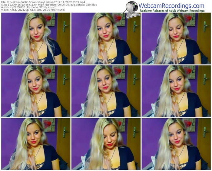 xlovecam-greylarissa-webcam-show-11_28_2017-23_23_03