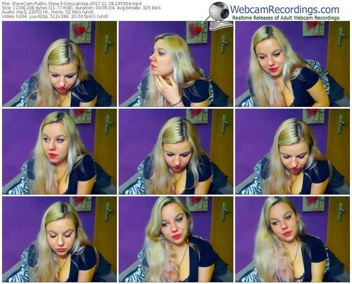 xlovecam-greylarissa-webcam-show-11_28_2017-23_53_04