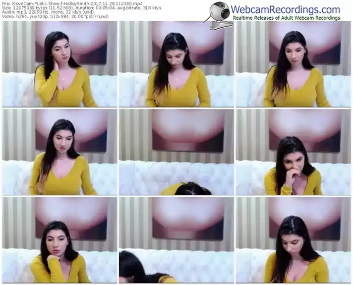 xlovecam-halleysmith-webcam-show-11_28_2017-11_23_00