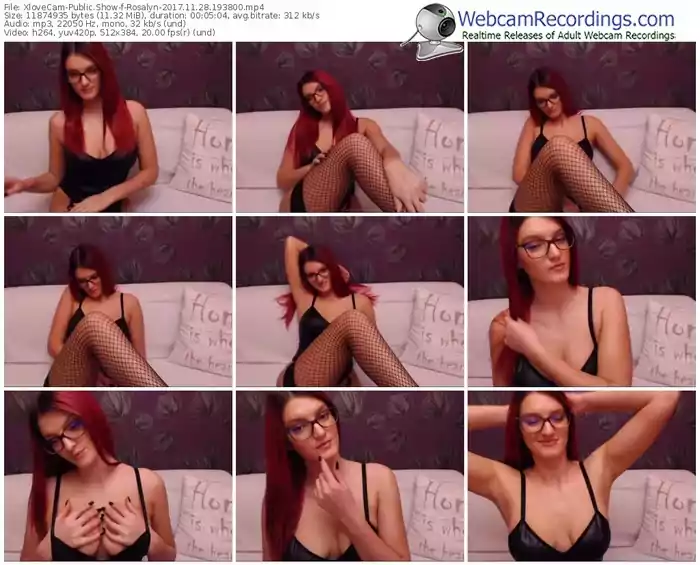 xlovecam-rosalyn-webcam-show-11_28_2017-19_38_00