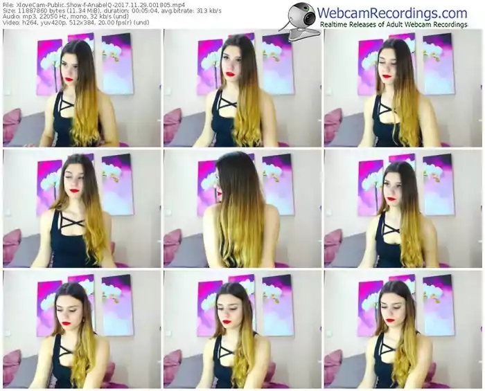 xlovecam-anabelq-webcam-show-11_29_2017-00_18_05