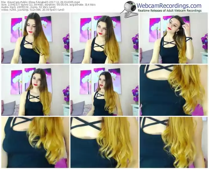 xlovecam-anabelq-webcam-show-11_29_2017-01_43_05