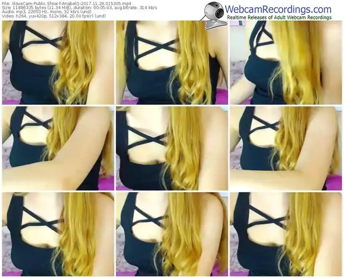 xlovecam-anabelq-webcam-show-11_29_2017-01_53_05