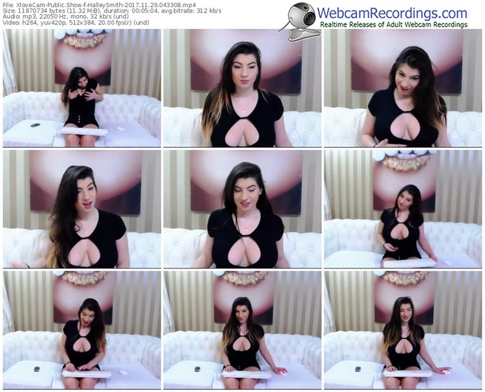 xlovecam-halleysmith-webcam-show-11_29_2017-04_33_08
