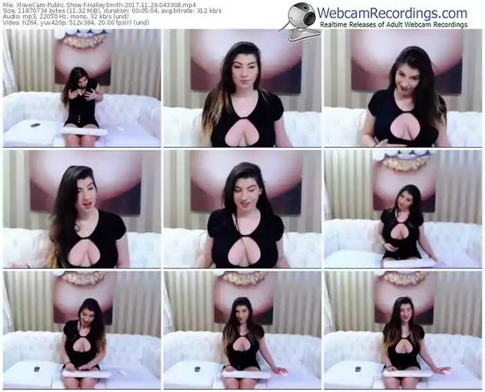 xlovecam-halleysmith-webcam-show-11_29_2017-04_33_08