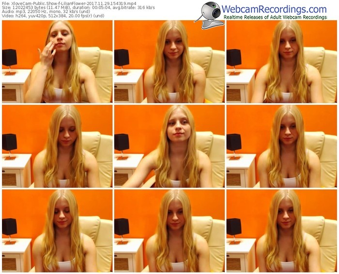 xlovecam-lilianflower-webcam-show-11_29_2017-15_43_19