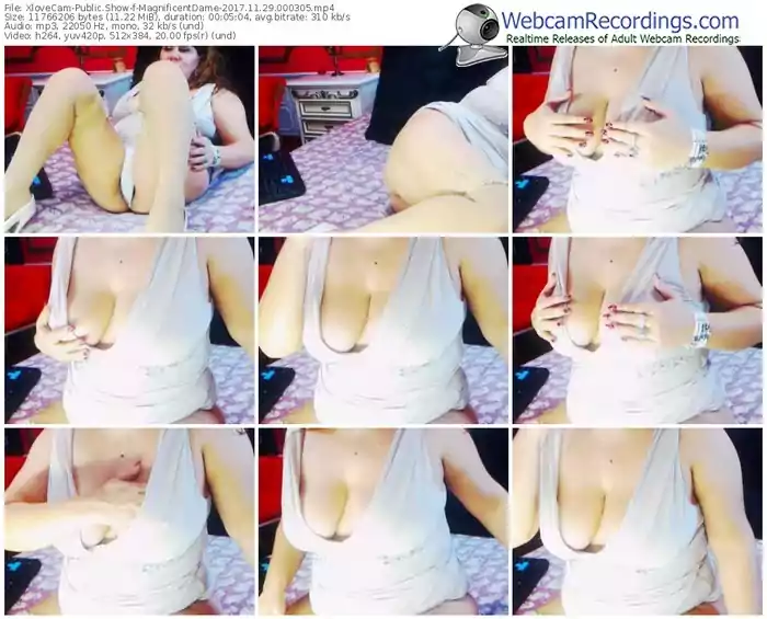 xlovecam-magnificentdame-webcam-show-11_29_2017-00_03_05