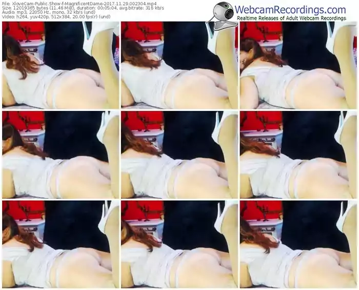 xlovecam-magnificentdame-webcam-show-11_29_2017-00_23_04