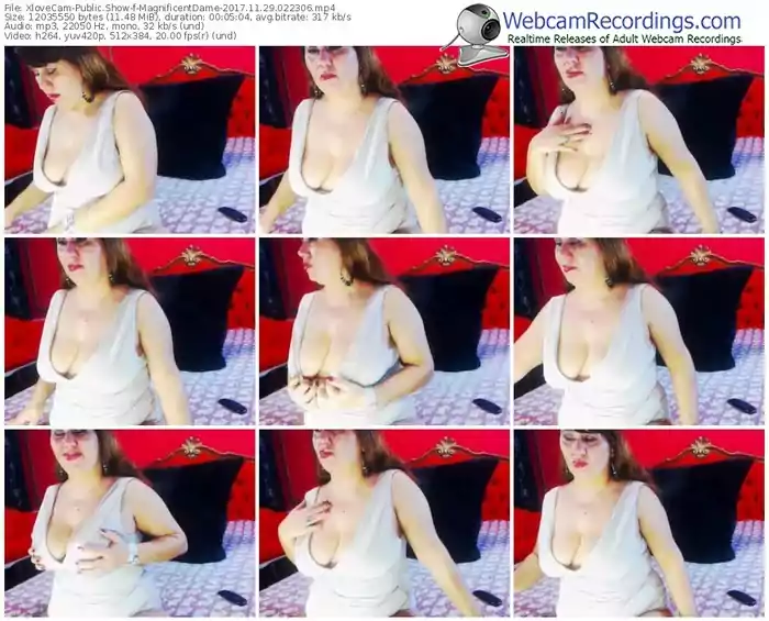 xlovecam-magnificentdame-webcam-show-11_29_2017-02_23_06