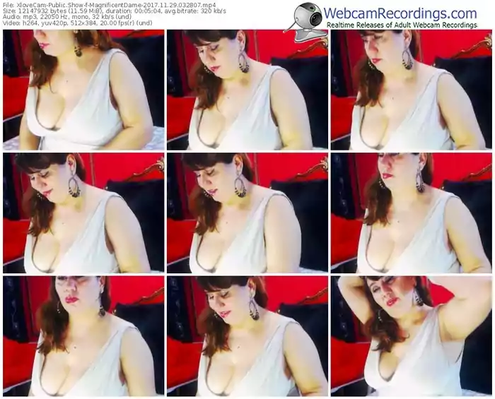 xlovecam-magnificentdame-webcam-show-11_29_2017-03_28_07