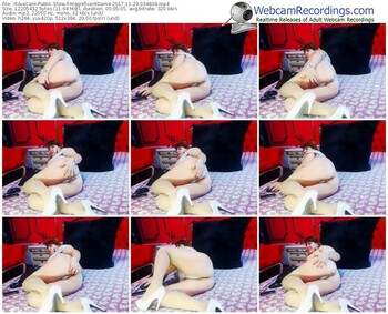 xlovecam-magnificentdame-webcam-show-11_29_2017-03_48_08