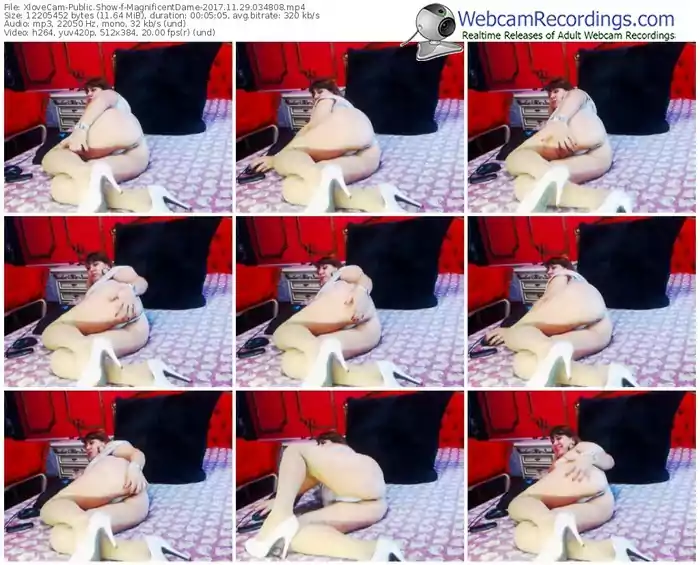 xlovecam-magnificentdame-webcam-show-11_29_2017-03_48_08