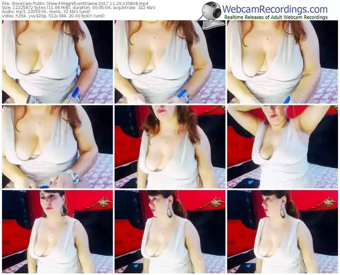 xlovecam-magnificentdame-webcam-show-11_29_2017-03_58_08