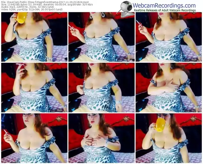 xlovecam-magnificentdame-webcam-show-11_29_2017-21_18_24