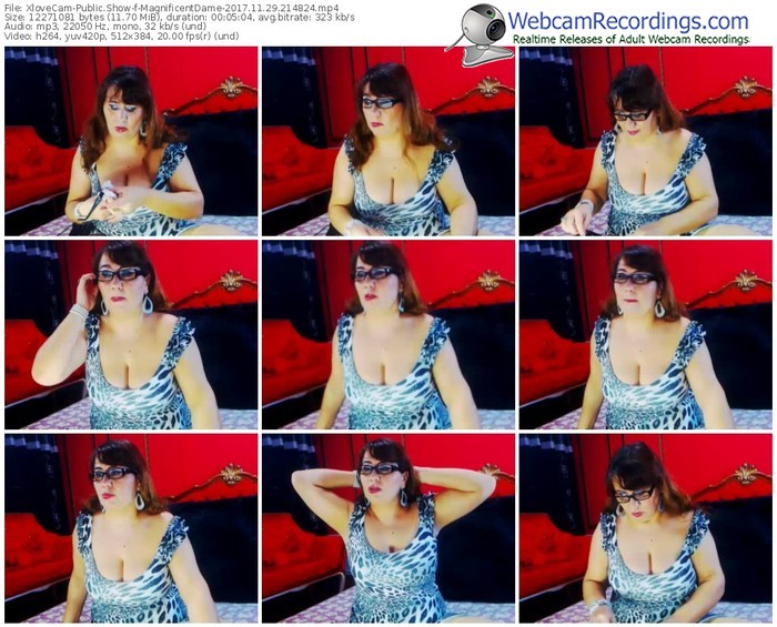 xlovecam-magnificentdame-webcam-show-11_29_2017-21_48_24