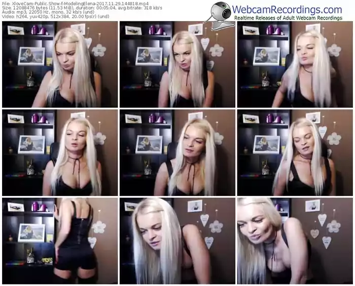xlovecam-modelingelena-webcam-show-11_29_2017-14_48_18