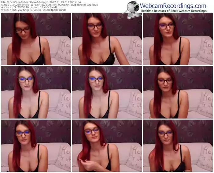 xlovecam-rosalyn-webcam-show-11_29_2017-01_23_05