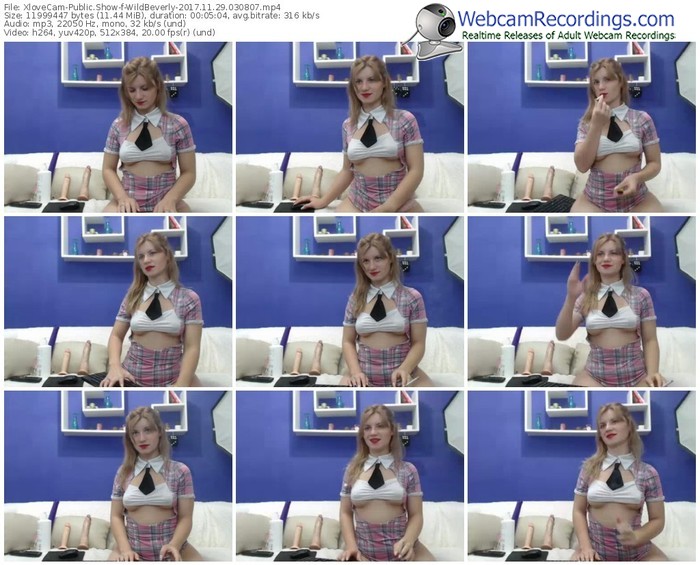 xlovecam-wildbeverly-webcam-show-11_29_2017-03_08_07