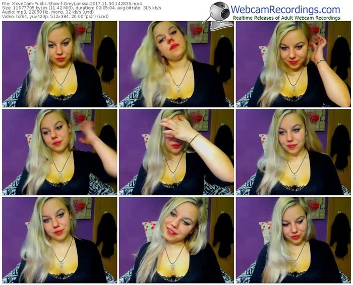 xlovecam-greylarissa-webcam-show-11_30_2017-14_28_39