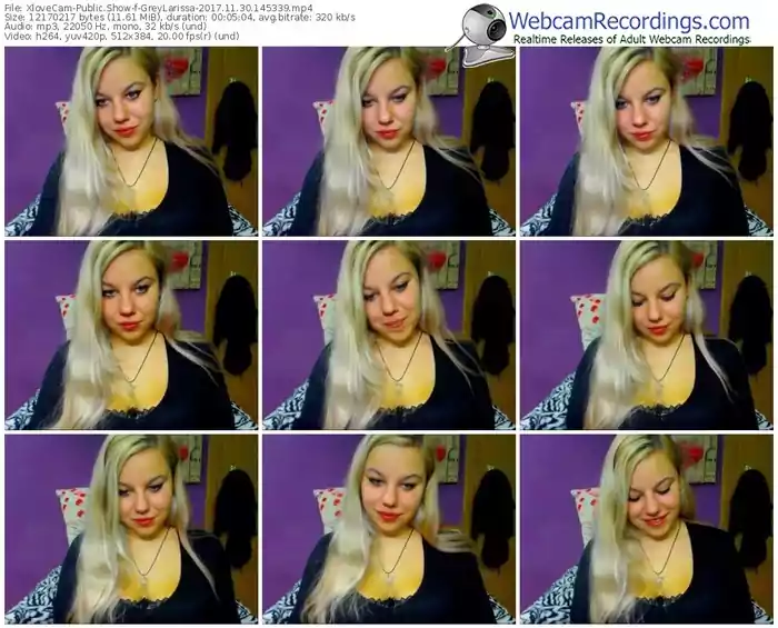 xlovecam-greylarissa-webcam-show-11_30_2017-14_53_39