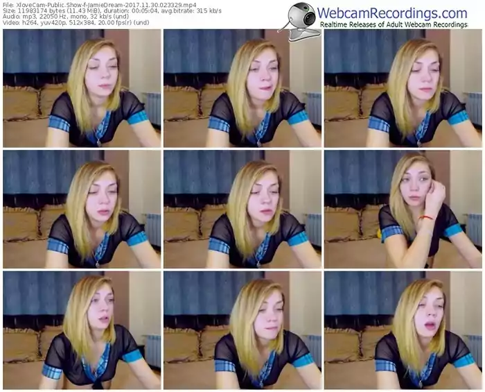 xlovecam-jamiedream-webcam-show-11_30_2017-02_33_29