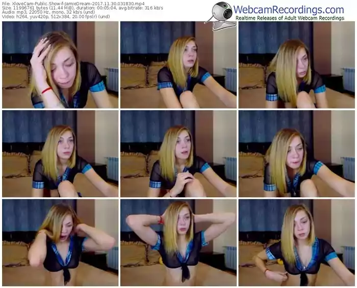 xlovecam-jamiedream-webcam-show-11_30_2017-03_18_30