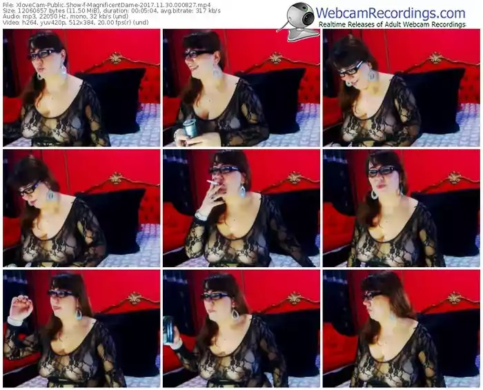 xlovecam-magnificentdame-webcam-show-11_30_2017-00_08_27