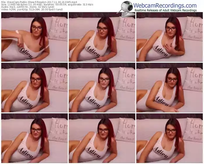 xlovecam-rosalyn-webcam-show-11_30_2017-21_33_45