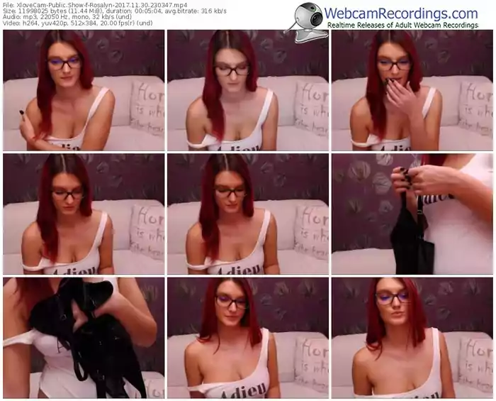xlovecam-rosalyn-webcam-show-11_30_2017-23_03_47