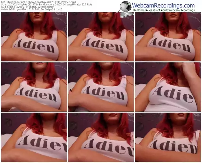 xlovecam-rosalyn-webcam-show-11_30_2017-23_38_48