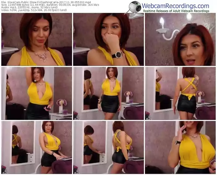 xlovecam-xdashingcarla-webcam-show-11_30_2017-05_53_32