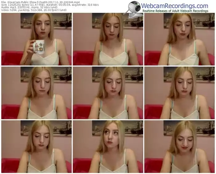 xlovecam-zoe69-webcam-show-11_30_2017-20_03_44