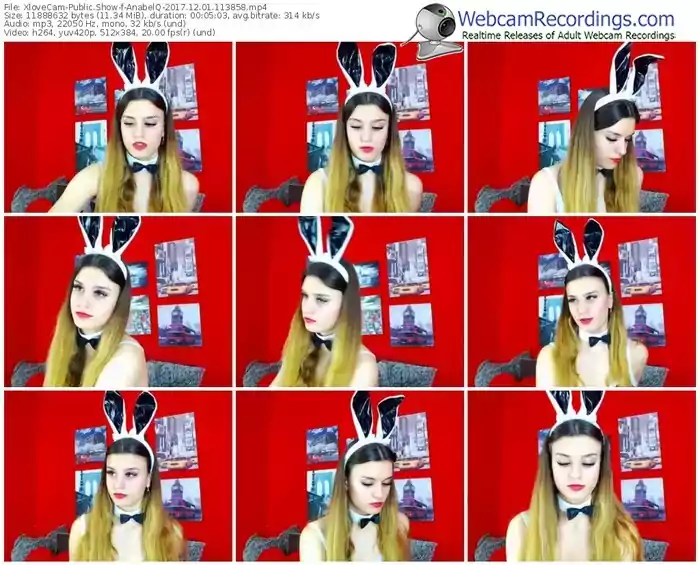 xlovecam-anabelq-webcam-show-12_01_2017-11_38_58