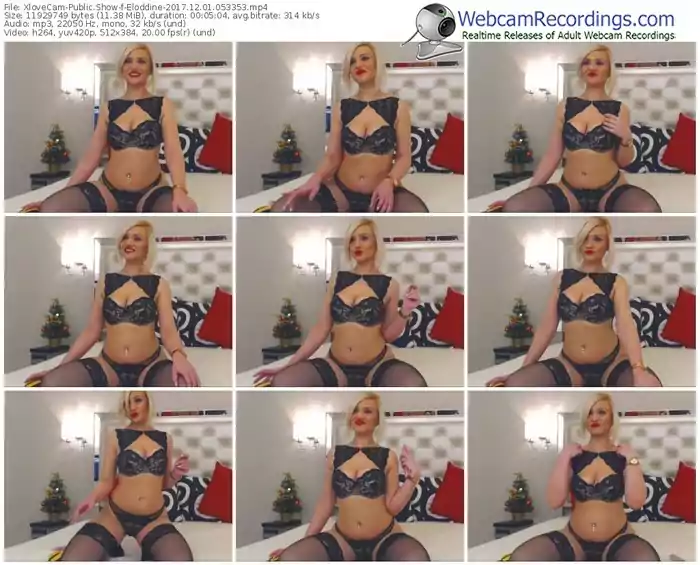 xlovecam-eloddine-webcam-show-12_01_2017-05_33_53