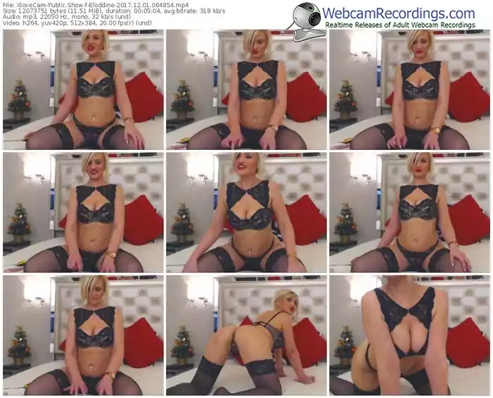 xlovecam-eloddine-webcam-show-12_01_2017-06_48_54