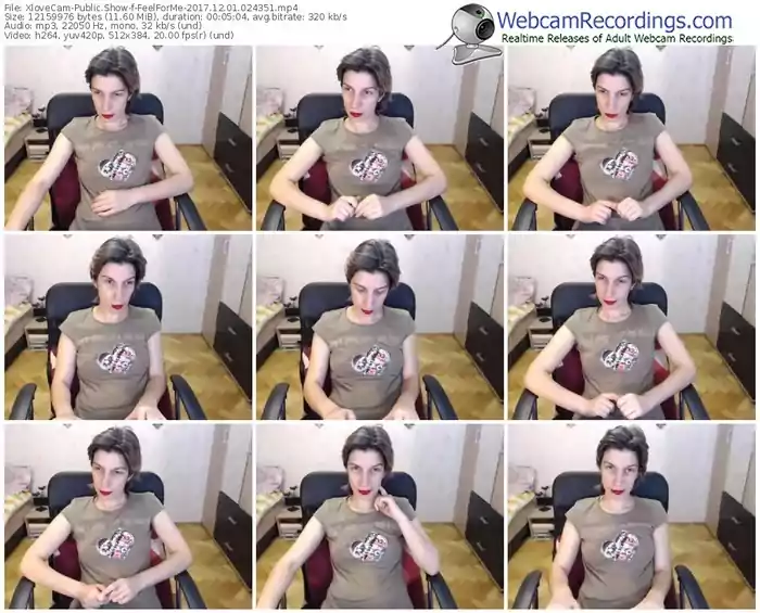 xlovecam-feelforme-webcam-show-12_01_2017-02_43_51