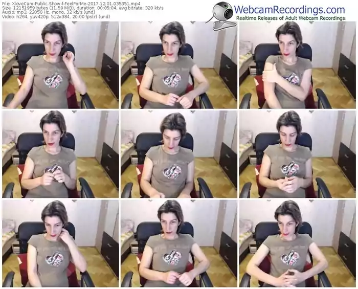 xlovecam-feelforme-webcam-show-12_01_2017-03_53_51