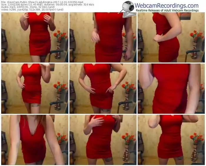xlovecam-ladyenigma-webcam-show-12_01_2017-02_33_50