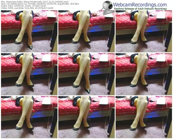 xlovecam-prettysally-webcam-show-12_01_2017-04_18_52