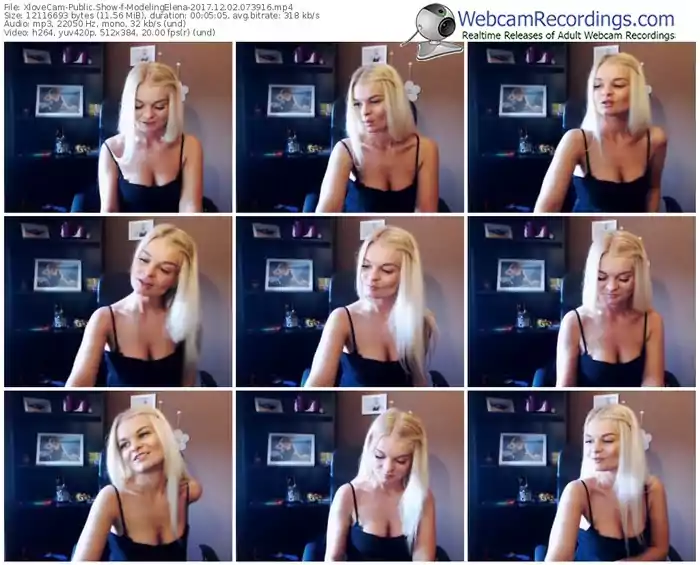 xlovecam-modelingelena-webcam-show-12_02_2017-07_39_16