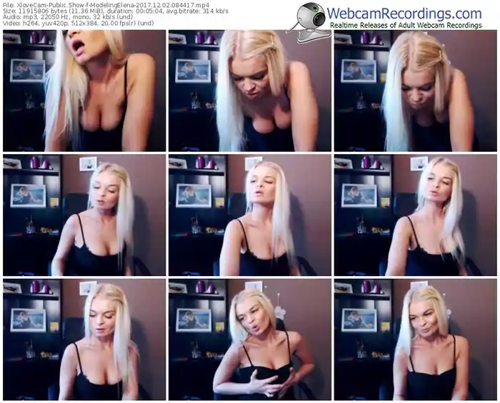 xlovecam-modelingelena-webcam-show-12_02_2017-08_44_17