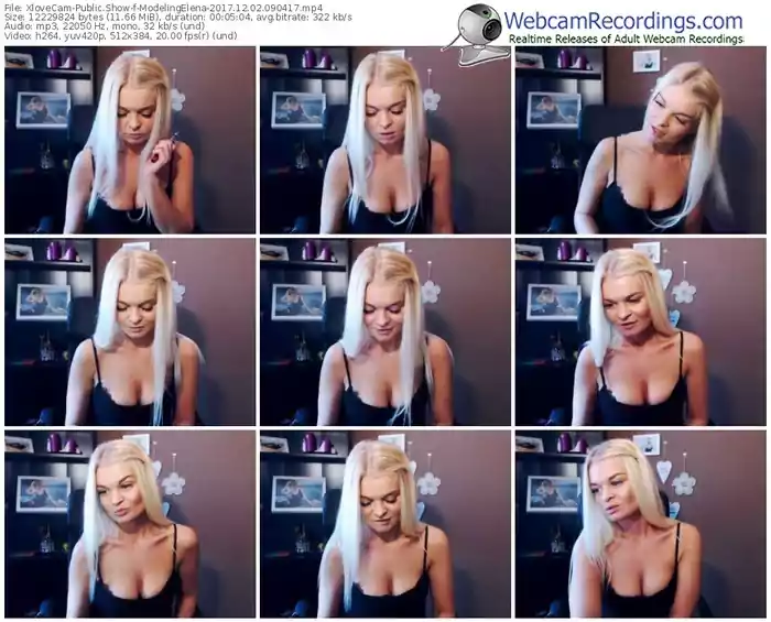 xlovecam-modelingelena-webcam-show-12_02_2017-09_04_17