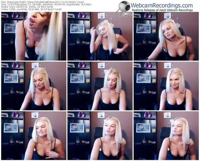 xlovecam-modelingelena-webcam-show-12_02_2017-09_24_17