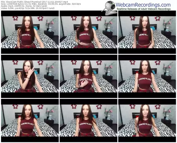 xlovecam-puresoul-webcam-show-12_02_2017-20_44_27